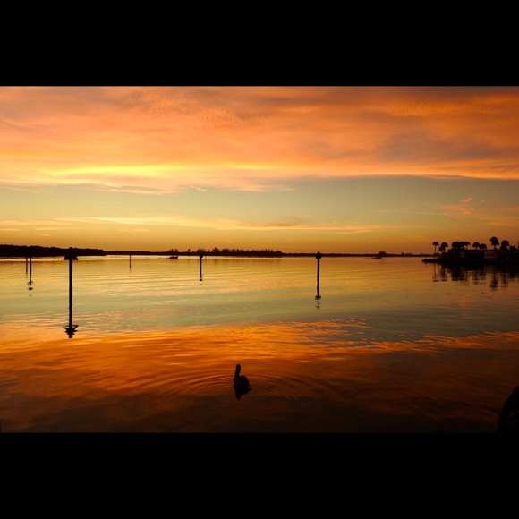 Meet your Posher, Yvonne - Picture 3 of 5